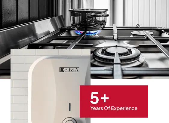 profil layanan delizia